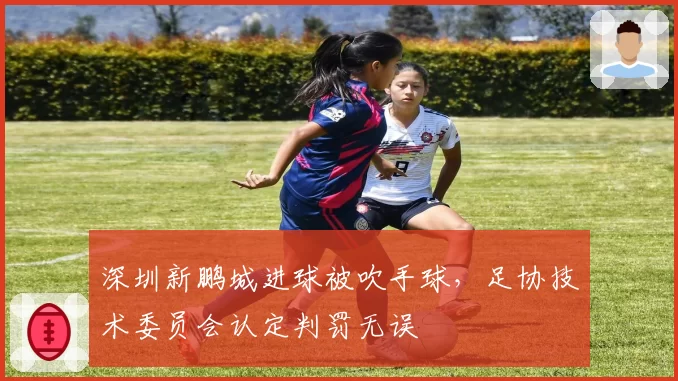 深圳新鹏城进球被吹手球,足协技术委员会认定判罚无误
