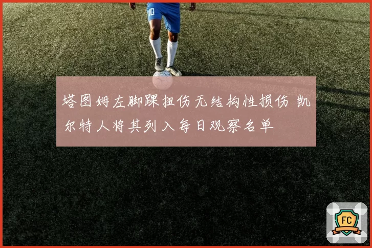 塔图姆左脚踝扭伤无结构性损伤 凯尔特人将其列入每日观察名单